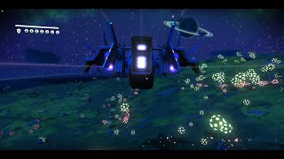 NMS Ode To Galadhlinn [upl. by Arodoet]