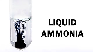 Making liquid ammonia to dissolve sodium and lithium metal [upl. by Hsirrehc530]