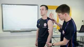 Electromyography EMG in Sport and Exercise Science [upl. by Alliw]