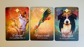 October and November 2024  Pluto in Capricorn Influences  Pick a Card  Timeless Tarot [upl. by Lapotin5]