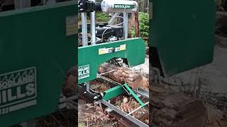 Satisfying Sawmill Cutting Oak Logs into Lumber [upl. by Shedd]