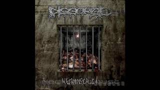 Disgorge Mex  Necrholocaust Full Album [upl. by Artened]