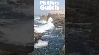 Phillips Gulch at Salt Point State Park  hiking coastalwalks [upl. by Shue]