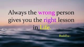 Transform Your Life 20 Powerful Quotes to Inspire Growth and Happiness 😊 Buddha Quotes 🙏 [upl. by Nahtahoj]