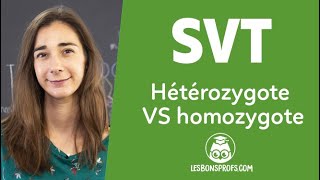 Hétérozygote VS homozygote  SVT  Terminale  Les Bons Profs [upl. by Kerri249]