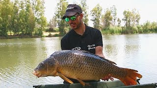 CARPFISHING EN EL GUADIANA  HD [upl. by Anileuqcaj]