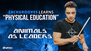 ZackGrooves Learns Animals As Leaders As Fast As Possible [upl. by Ekusoyr677]