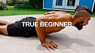 Full Body Workout NO GYM BEGINNERS FOLLOW ALONG [upl. by Aleunam]