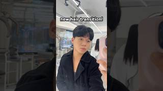 new hair reveal koreanperm koreanhairstyle newhairtransition transition shorts fyp trending [upl. by Umberto535]