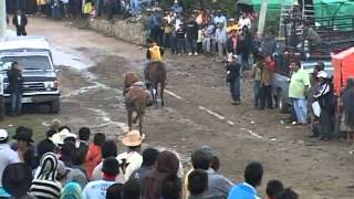 Alotepec 2011 3 de Mayo Carreras de Caballos y Jaripeo Profesional [upl. by Bridgette125]