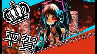 細菌汚染 歌ってみた  Bacterial Contamination METALP ARRANGE ver Hiraga amp Oktavia [upl. by Takara]