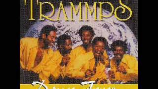 The Trammps  Rubberband [upl. by Cirde495]