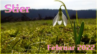 ♉ Stier  Februar 2022 ♉  Erfolgsrezepte [upl. by Aguie]