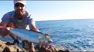 PESCA A SPINNING ALLE LAMPUGHE dalla SCOGLIERA naturale con CANNE SPINNING INSHORE  LURE FISHING [upl. by Mills]