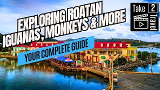 Why Roatan Honduras Should Be Your Next Cruise Stop  Hidden Gem in the Western Caribbean [upl. by Valtin]