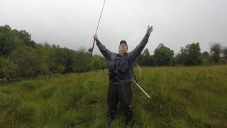 SALMON ON THE FLY ROD 14 HOOKED A DAY FOR THE AGES [upl. by Gabi]