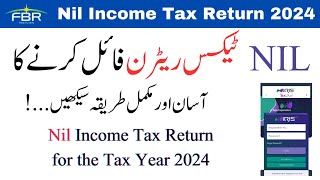 How to file Zero Tax Return 2024  Nil Income Tax Return  House Wife Tax Return  FBR Iris  online [upl. by Edward]