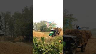 Deutz fahr agromaxx 50 tractor 2Wheel গাছ ধান বইছে কিভাবে দেখুন 14 কাঠা জমির ধান আনছে কিভাবে [upl. by Langdon712]