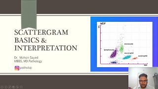 Scattergram Basics amp patterns in Leukemia leukemia bloodcancer cancer pathology hematology [upl. by Dlonyer719]