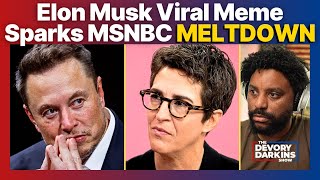 Elon Musk VIRAL MEME Sparks MSNBC Meltdown [upl. by Ahar]