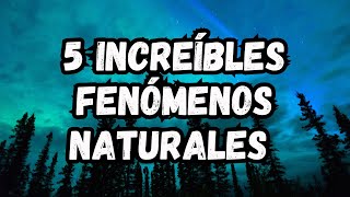 5 Sorprendentes Fenómenos Naturales  Lago Rosa Bosque de Piedras Auroras Boreales y más [upl. by Eidoow]