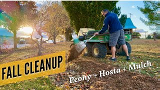 Fall Cleanup Peony Mulch and Hostas [upl. by Suzi68]