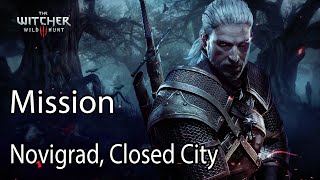 The Witcher 3 Mission Novigrad Closed City [upl. by Nonie]