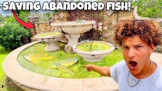 Saving ABANDONED Aquarium FISH In GREEN SLIME POND [upl. by Evangelia]