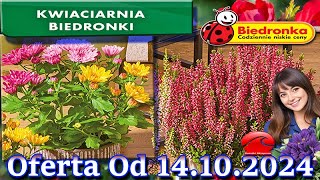 𝐁𝐈𝐄𝐃𝐑𝐎𝐍𝐊𝐀🐞Kwiaciarnia Biedronki Nowa Oferta Od 14102024 Kwiatowe Inspiracje Biedronki Tanie Kwiaty [upl. by Reba]