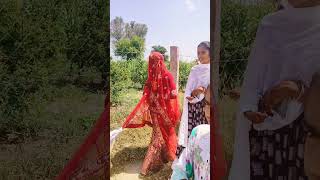 banna banni vivah desi live marvadi rajasthani banda shadi shorts [upl. by Conte]