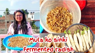 How to make mula ko sinki  Mula ko aamilo sinki banaune sajilo tarika  Nepali food recipe [upl. by Cynera]