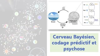 Cerveau Bayésien codage prédictif et psychose [upl. by Neemsaj]