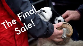 The final sale Hawes Swaledale Tup Sale 241019 [upl. by Gutow]