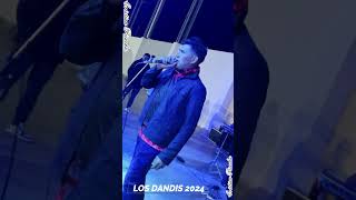 LOS DANDIS 2024 EN VIVO  TEMA NUEVOS PicachuDifusiones Cachi [upl. by Kare]