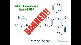 Why is Clomiphene a banned PED clomiphene [upl. by Nauqet770]