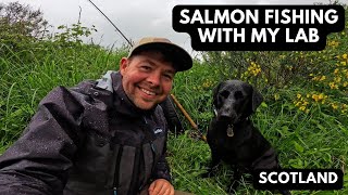 Salmon Fishing A River Tweed Tributary With My Lab [upl. by Einama292]