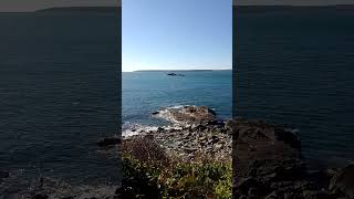 Boat Cove Trenow Perranuthnoe with St Michaels Mount 12th October 2024 Cornwall UK [upl. by Womack]