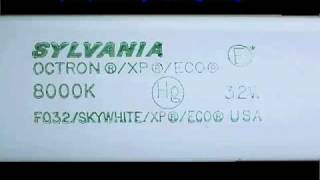 Sylvania F32T8 8000k SkyWhite Fluorescent [upl. by Gainor]