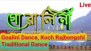 Goalini Dance Koch Rajbongshi song youtube youtubeshorts shorts shortvideoshort trendingsong [upl. by Columbyne]