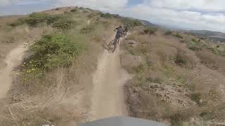 Karearea  Arapuke MTB Park [upl. by Jasper]