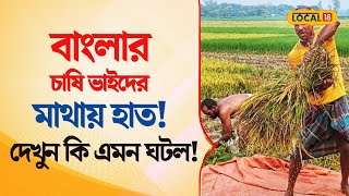 Bangla News  মাথায় হাত সবজি থেকে ধান চাষীদের দেখুন কি এমন ঘটল  Agriculture News  local18 [upl. by Tadd]