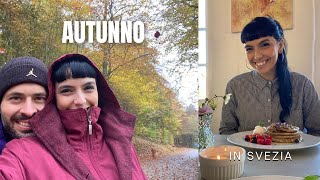 AUTUNNO IN SVEZIA [upl. by Ocin]