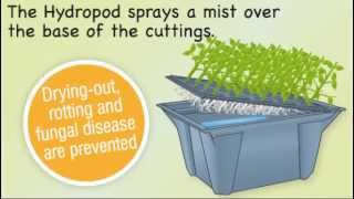 Hydropod Propagator  Grow More of Your Favourite Plants From Cuttings [upl. by Sibella]