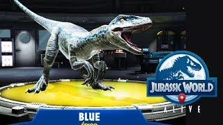 SALVAR A BLUE EL ULTIMO VELOCIRAPTOR LIBRE DE Jurassic World Alive [upl. by Ennairej]