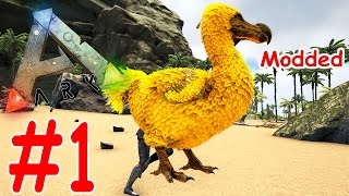 ARK Survival Evolved  GOLDEN DODO TAMING Modded 1 ARK Gameplay [upl. by Zaria957]