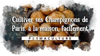 Cultiver ses Champignons de Paris à la maison facilement 🍄 [upl. by Richardson]