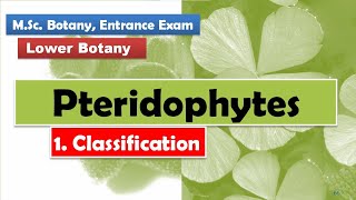 Classification  Pteridophytes [upl. by Odilia]