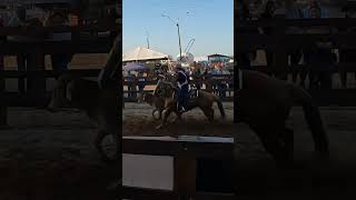 2024 Macaé Rodeo Little Girls Roping Cattle in Rio de Janeiro [upl. by Homere]