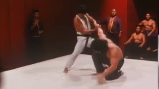 Don The Dragon Wilson 2 quotBloodfist 2quot 1990 fight scene archives [upl. by Bashuk]