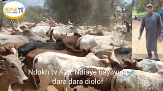 Wadial gamou akabdou azize Ndiaye louni fang kenne douco diékhe [upl. by Bremser780]